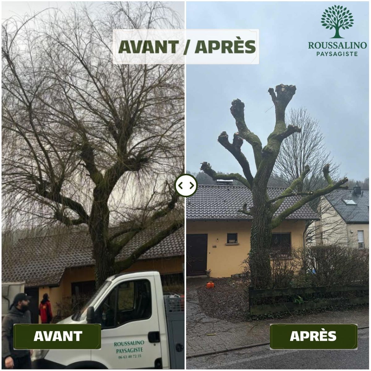 Résultat avant/après d'une taille sévère en têtard réalisée sur un arbre par un élagueur-grimpeur de Roussalino Paysagiste.