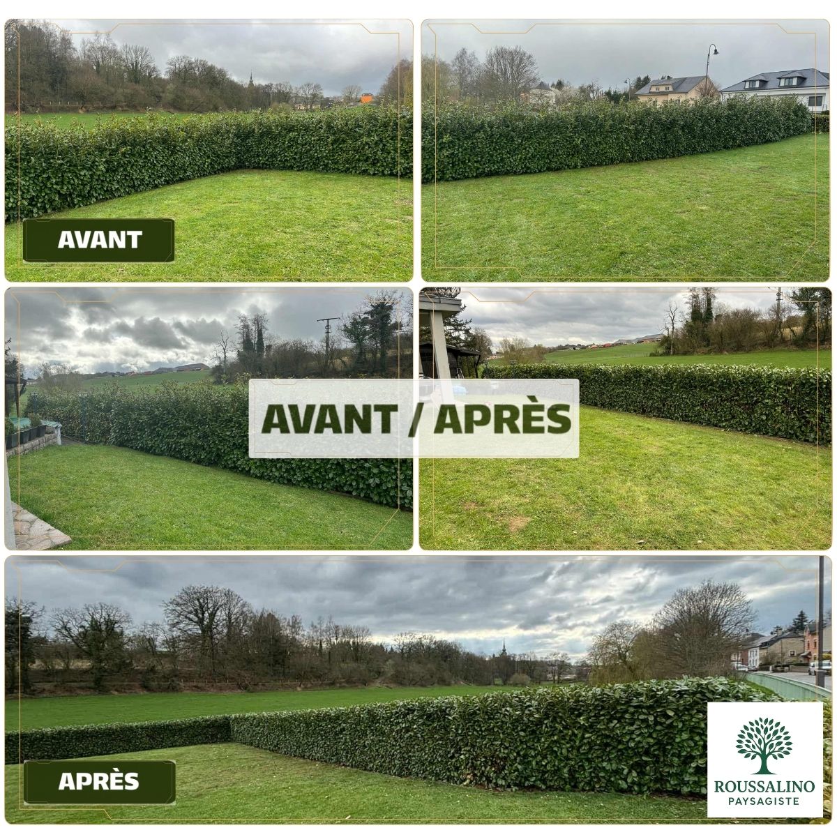 Vues multiples avant et après la taille d'une très longue haie dans un grand jardin par Roussalino Paysagiste à Virton en province de Luxembourg.